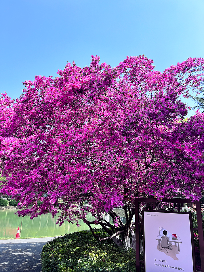 以精致园艺造型带来愉悦舒适生活感