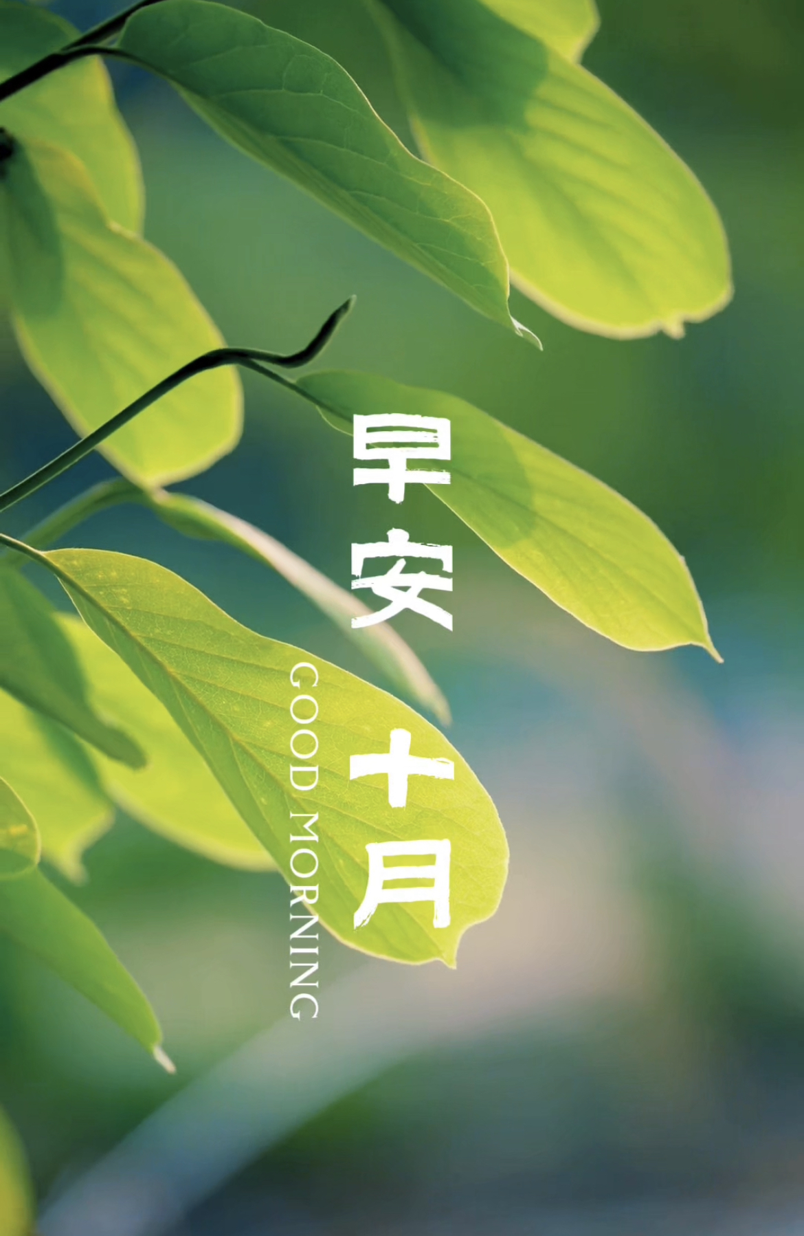 早安海报第18期|大田生活，每一天都是新的