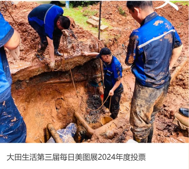 创新无限 美好无境 | 大田生活第三届每日美图展年度投票开始啦！