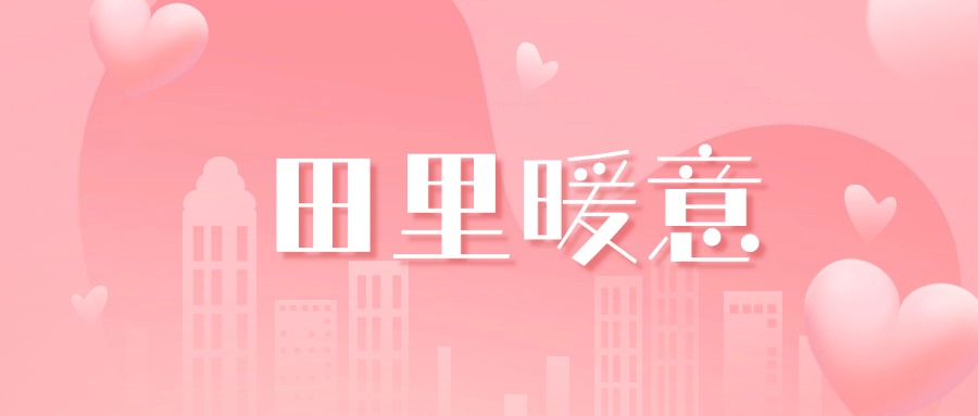 猜猜大田上半年收到最多的“礼物”是什么？
