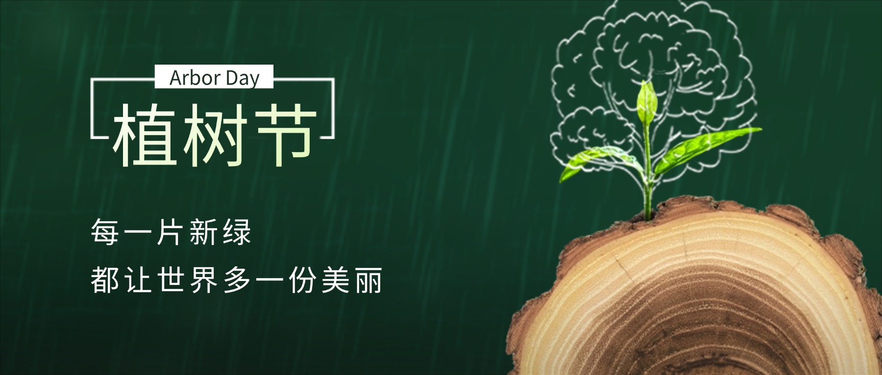 春日植绿，共赴一场生长之约